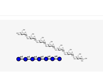 maltoheptaose-glca1-4-6-glc