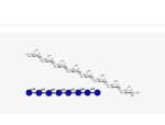 Maltooctaose-Glca1-4-7-Glc