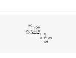 Mannose-1-phosphate