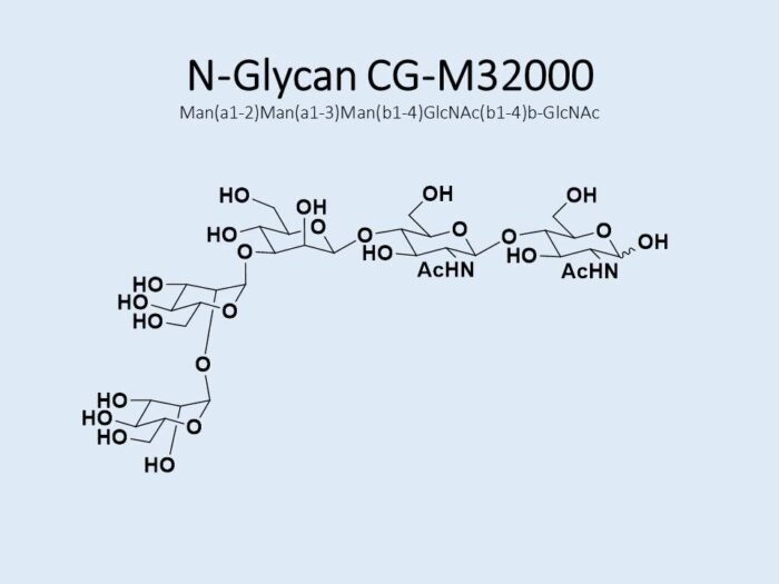 n-glycan-cg-m32000-1