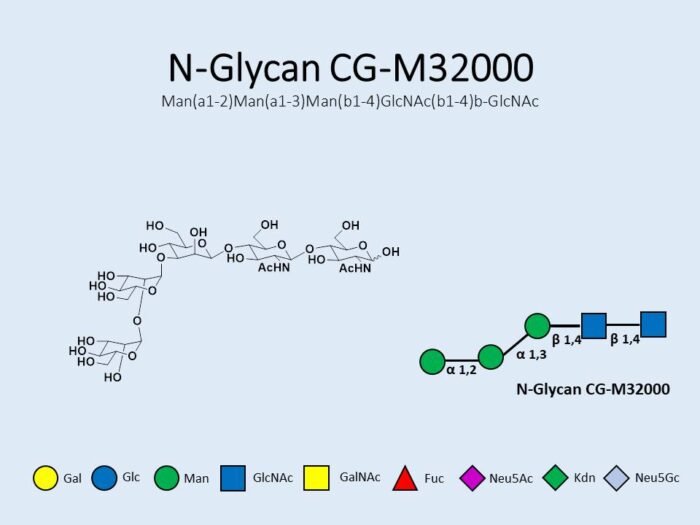 n-glycan-cg-m32000