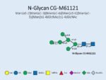 N-glycan-CG-M61121