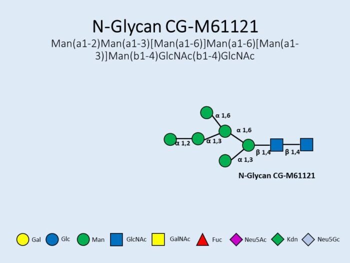 n-glycan-cg-m61121