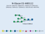 N-glycan-CG-M83112