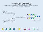 N-glycan-CG-N002