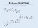 N-glycan-CG-N002G1