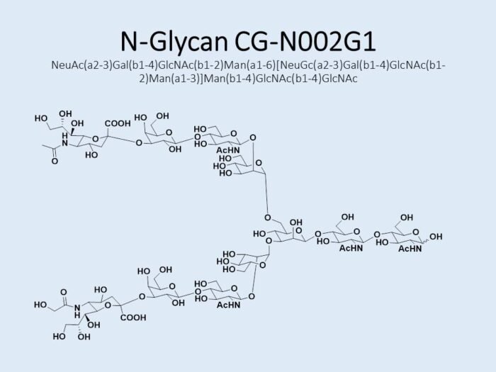 n-glycan-cg-n002g1-1