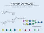 N-glycan-CG-N002G1