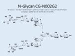 N-glycan-CG-N002G2