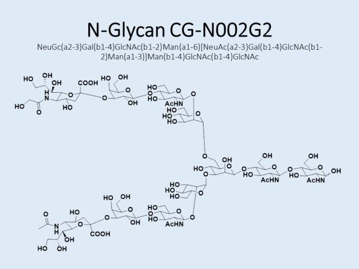 n-glycan-cg-n002g2-1