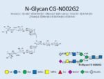 N-glycan-CG-N002G2