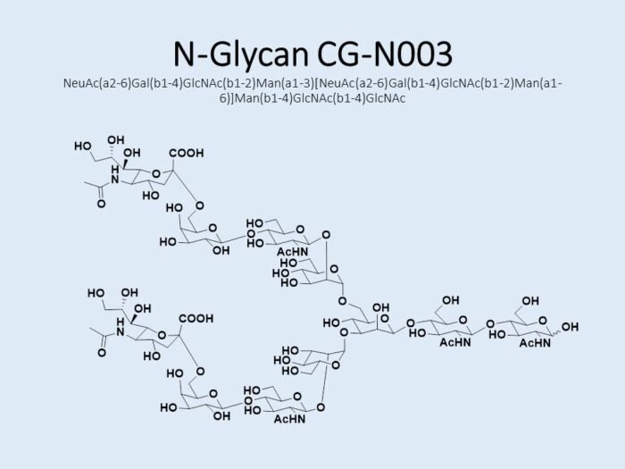 n-glycan-cg-n003-1