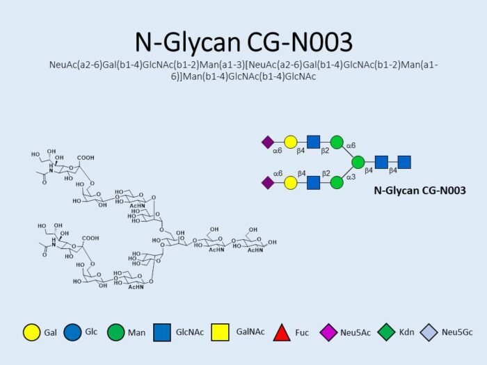 n-glycan-cg-n003