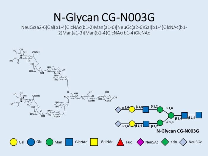 n-glycan-cg-n003g