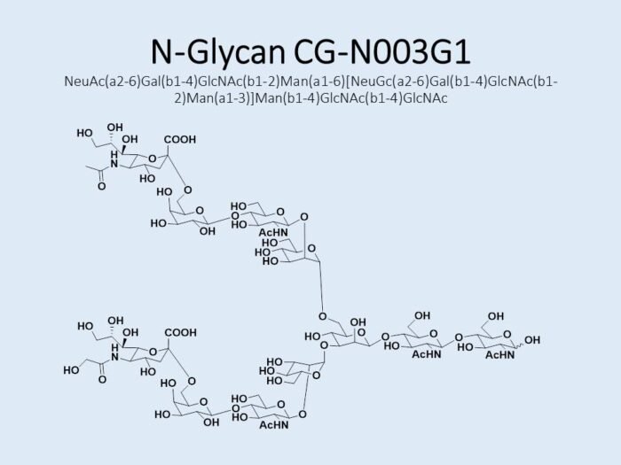 n-glycan-cg-n003g1-1