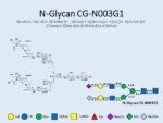 N-glycan-CG-N003G1