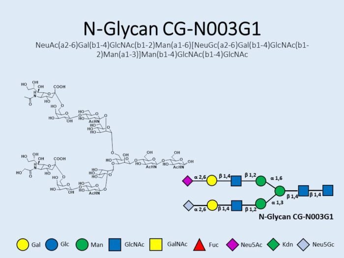 n-glycan-cg-n003g1