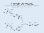 N-glycan-CG-N003G2