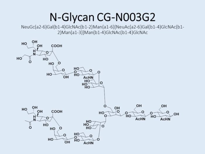 n-glycan-cg-n003g2-1