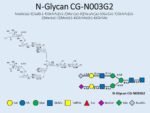 N-glycan-CG-N003G2