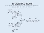 N-glycan-CG-N004