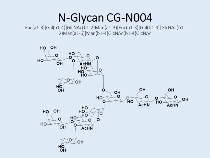 n-glycan-cg-n004-1