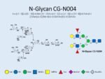 N-glycan-CG-N004