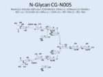 N-glycan-CG-N005