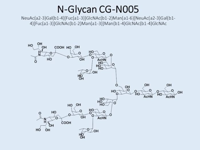 n-glycan-cg-n005-1