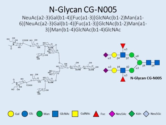 n-glycan-cg-n005