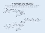 N-glycan-CG-N005G