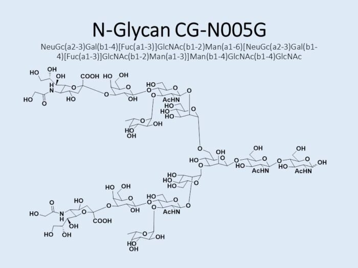 n-glycan-cg-n005g-1