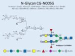 N-glycan-CG-N005G