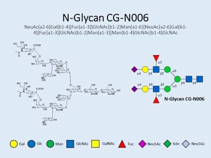 n-glycan-cg-n006