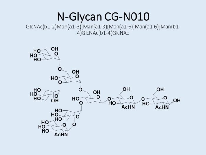 n-glycan-cg-n010-1