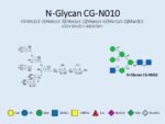 N-glycan-CG-N010