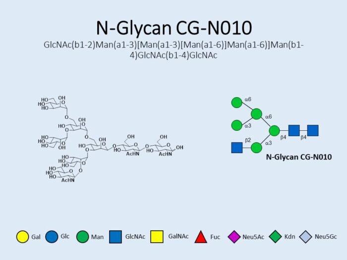 n-glycan-cg-n010