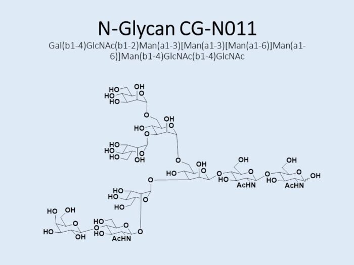 n-glycan-cg-n011-1