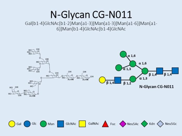 n-glycan-cg-n011