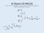 N-glycan-CG-N012G