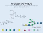 N-glycan-CG-N012G