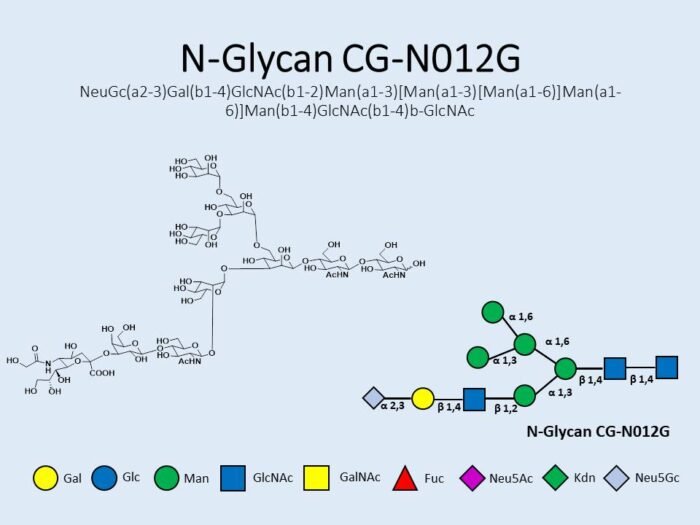 n-glycan-cg-n012g