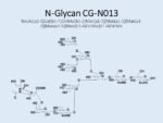 N-glycan-CG-N013