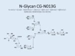 N-glycan-CG-N013G