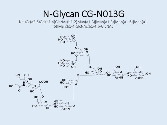 n-glycan-cg-n013g-1