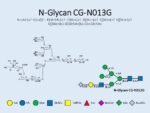 N-glycan-CG-N013G