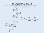 N-glycan-CG-N014