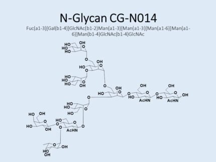 n-glycan-cg-n014-1