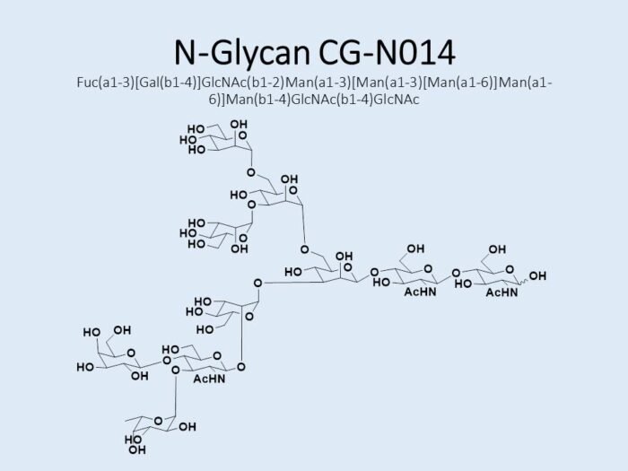 n-glycan-cg-n014-1