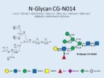 N-glycan-CG-N014